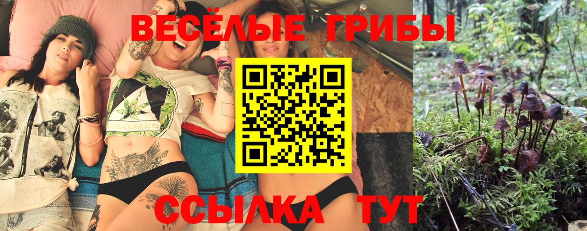 Дзержинский  Псилоцибиновые грибы ЛСД  Псилоцибиновые грибы прущие грибы  Вход с VPN 