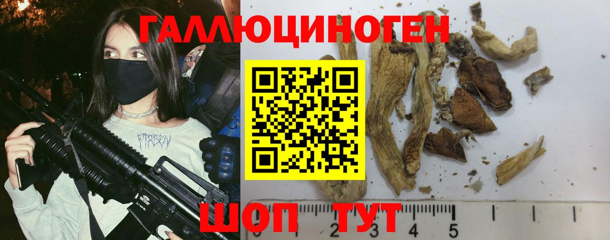 Псилоцибиновые грибы Psilocybe Дзержинский